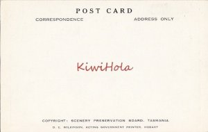 Postcard Entally Governors Wing Tasmania Australia