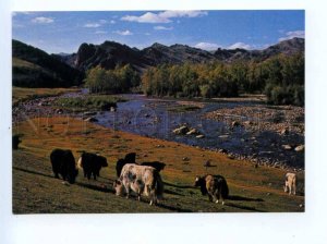 419484 MONGOLIA Bogdyn Goi river Zabhan Aimak Old postcard