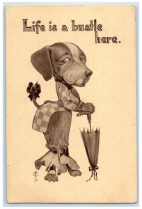 1911 Anthropomorphic Hound Dog Life Is A Bustle Here Brookings SD Postcard