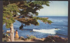 American Airlines America's Leading Airline California, Carmel - Chrome