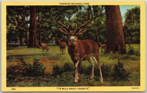 California, Yosemite National Park, Herd, Deer, Wild Animals, Vintage Postcard