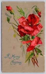 Christmas~Pretty Red Begonias w/Buds~Gray Back~c1910 Vintage Postcard