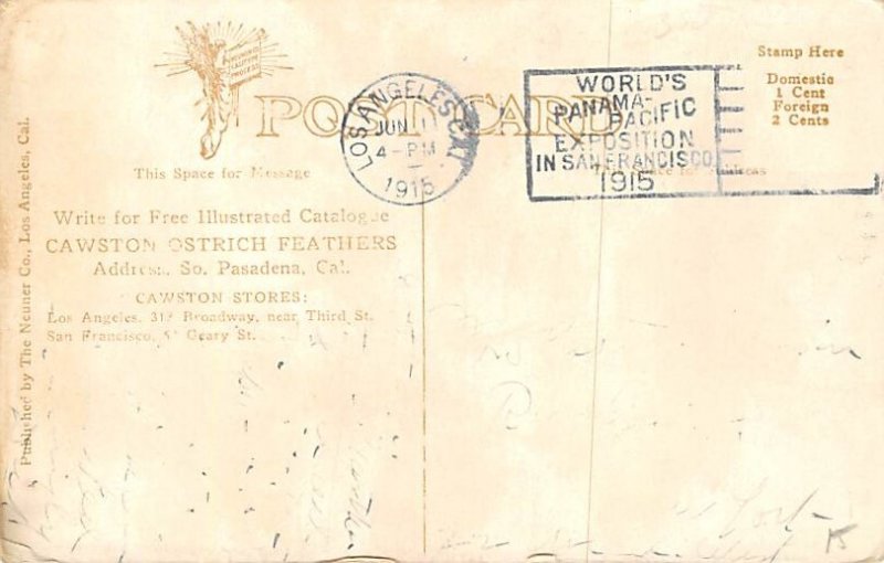 Postal mark Panama Pacific Expo San Francisco, 1915 Cawston Ostrich Farm, CA ...