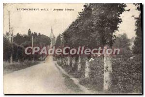 Postcard Old Senonches Avenue Poucin