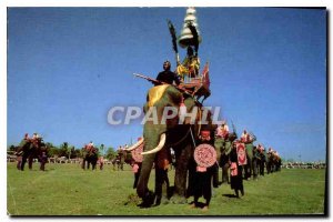 Modern Postcard The form glory of colorfully arrayes GoID elephants into batt...