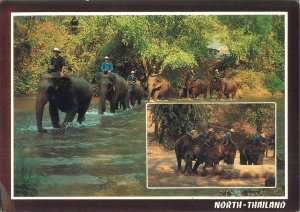 The working elephants North Thailand postcard