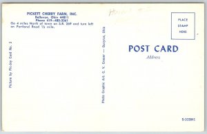 Bellevue Ohio 1960s Postcard Pickett Cherry Farm