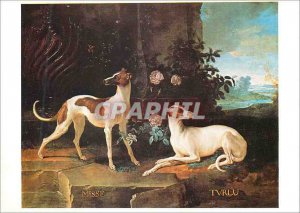 Modern Postcard Fontainebleau Musee National du Chateau Jean-Baptiste Oudry (...