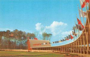 JAMESTOWN, VA  Virginia    FESTIVAL PARK  State Flags Lining Walkway   Postcard