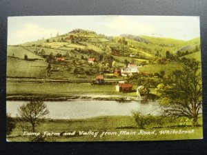 Monmouthshire WHITEBROOK Farm & Valley c1950s Postcard by Frith