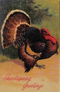 Turkey Thanksgiving Greetings 1910c PFB embossed postcard