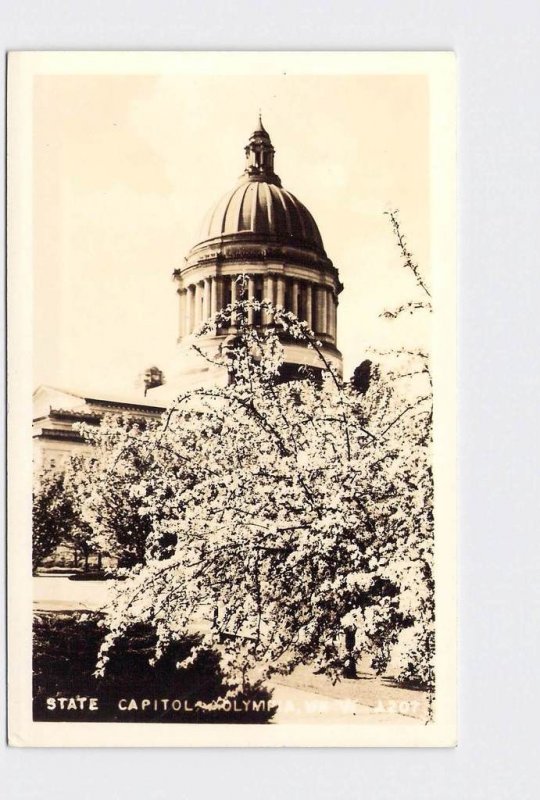RPPC REAL PHOTO POSTCARD WASHINGTON OLYMPIA STATE CAPITOL TREE IN BLOOM 