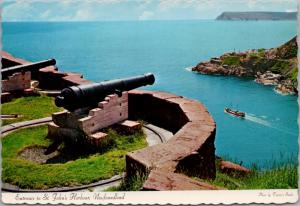 Queen's Battery St. John's Harbour NFLD Newfoundland NL Vintage Postcard D43