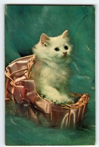 White Kitten Cat In Fancy Basket Postcard Chrome Cute Unposted Colourpicture