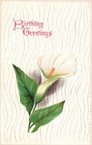 Happy Birthday, White Lily Flower, Floral Greeting Card, Vintage Postcard