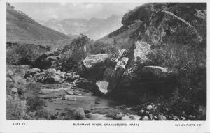 Drakensberg Natal Bushmans River Real Photo Antique Postcard J79036