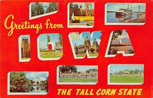 Greetings From Tall Corn State Greetings from, Iowa  