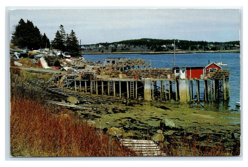 Postcard Low Tide at Swan's Island, Maine ME B71