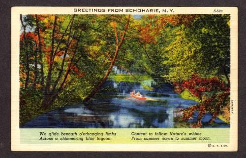 NY Greetings from SCHOHARIE NEW YORK Postcard Linen PC