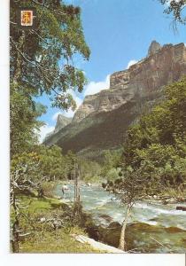 Postal 050087 : Parque Naciona de Ordesa (Huesca). Rio Arazas con el Vallasan...