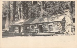 RPPC Galen Clark's Cabin Mariposa Grove CA Yosemite 1910s Antique Photo Postcard