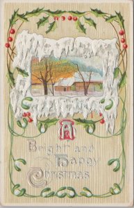 Holiday~Christmas~Holly Berries~View Of House In Winter~Vintage Postcard