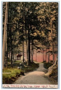 1907 Vista from Scotts Casino Oquaga Lake New York NY Vintage Antique Postcard 