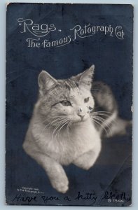 RRPC Photo Postcard Rags The Famous Rotograph Cat Kitten Normal IL 1909 Antique