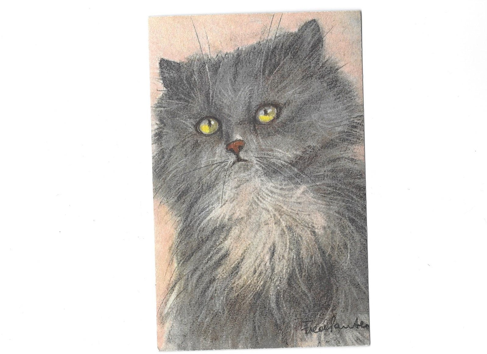 Artist Drawn Grey White Cat With Green Eyes Signed Printed In