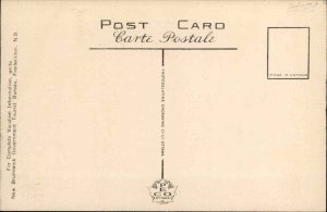 Moncton New Brunswick Motel Vintage Postcard