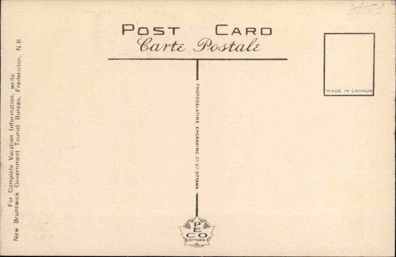 Moncton New Brunswick Motel Vintage Postcard