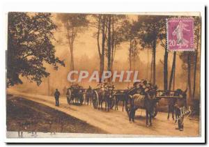 IN the Landes de Gascogne Old Postcard fog effect in the forest (horse hitch)