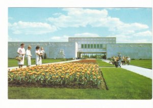 Tulips, Natural History Museum, Regina, Saskatchewan, Vintage Chrome Postcard