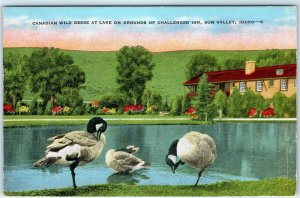 c1930s Sun Valley, ID Lake Challenger Inn Linen PC Canadian Geese Duck Cute A289