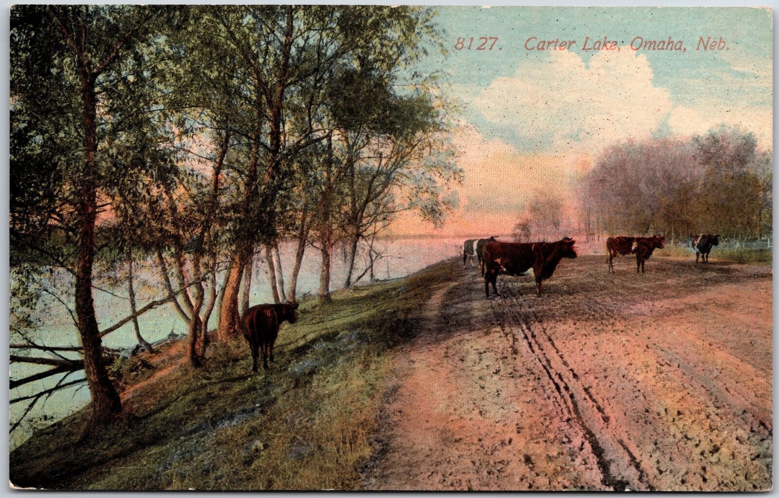 Carter Lake Omaha Nebraska NB Ranch Cattle Farm Postcard United