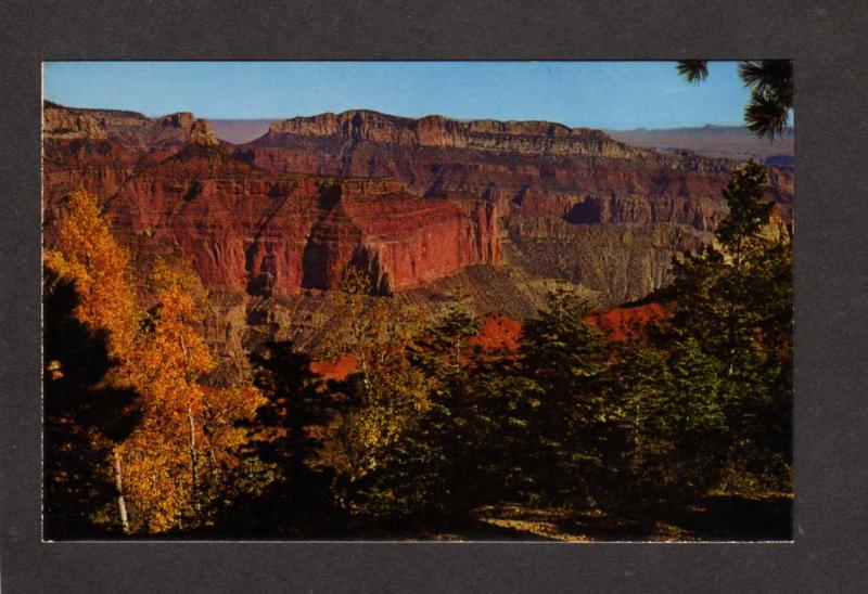 AZ Grand Canyon National Park Arizona Postcard Vista Encantadora Cape Coral