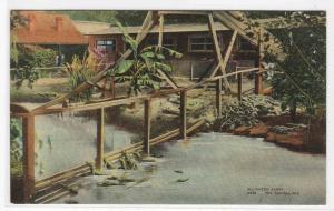 Baby Alligator Farm Hot Springs Arkansas 1910c postcard