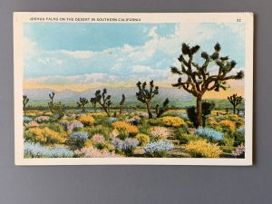 Joshua Palms On The Desert CA Litho Postcard A1153093418