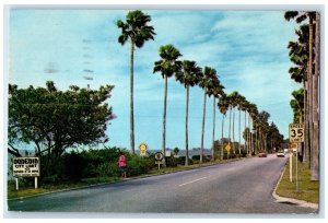 1960 Scenic Edgewater Drive Between Clearwater And Dunedin Florida FL Postcard