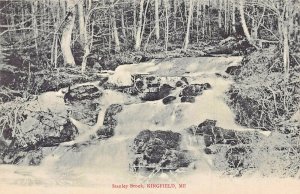 KINGFIELD MAINE~STANLEY BROOK~1900s PHOTO POSTCARD  