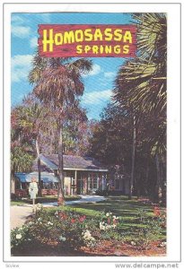 The Garden of the Springs at Homosassa Springs, St. Petersburg,  Florida, PU-...