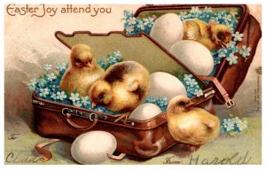 Easter Chicks in suitcase