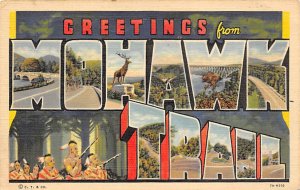 Greetings from Mohawk Trail Large Letter Unused 