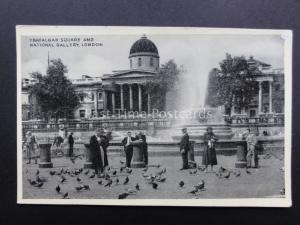 London: Trafalgar Square and National Gallery Excellent Animated Pigeon Feeding