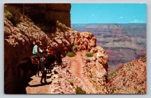 Horseback Riders at Grand Canyon National Park Arizona Vintage Postcard 0762