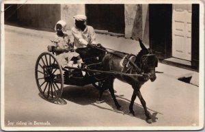 Bermuda Joy Riding Bermuda Donkey Cart Vintage RPPC C090