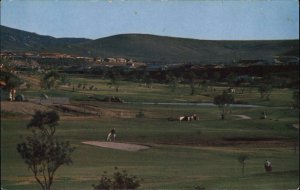 San Diego California CA Rancho Bernardo Golf Course Golfing Vintage Postcard