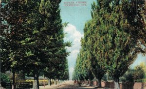 Canada Poplar Avenue Hamilton Ontario Vintage Postcard 07.15