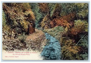 1928 The Celebrated Fautana Valley Tahiti French Polynesia Vintage Postcard