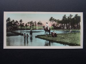 Egypt Cairo THE LANDSCAPE NEAR THE PYRAMIDS 1920 RP Postcard by L. Scortzis & Co